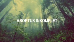 Abortus Inkomplet