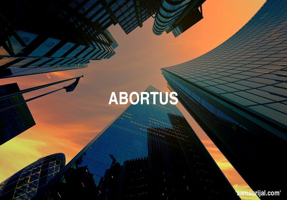 Arti Abortus