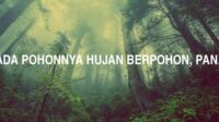 Ada Angin Ada Pohonnya Hujan Berpohon, Panas Berasal