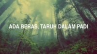 Ada Beras, Taruh Dalam Padi