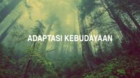 Adaptasi Kebudayaan