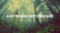 Adat Pasang Berturun Naik