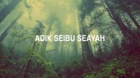 Adik Seibu Seayah