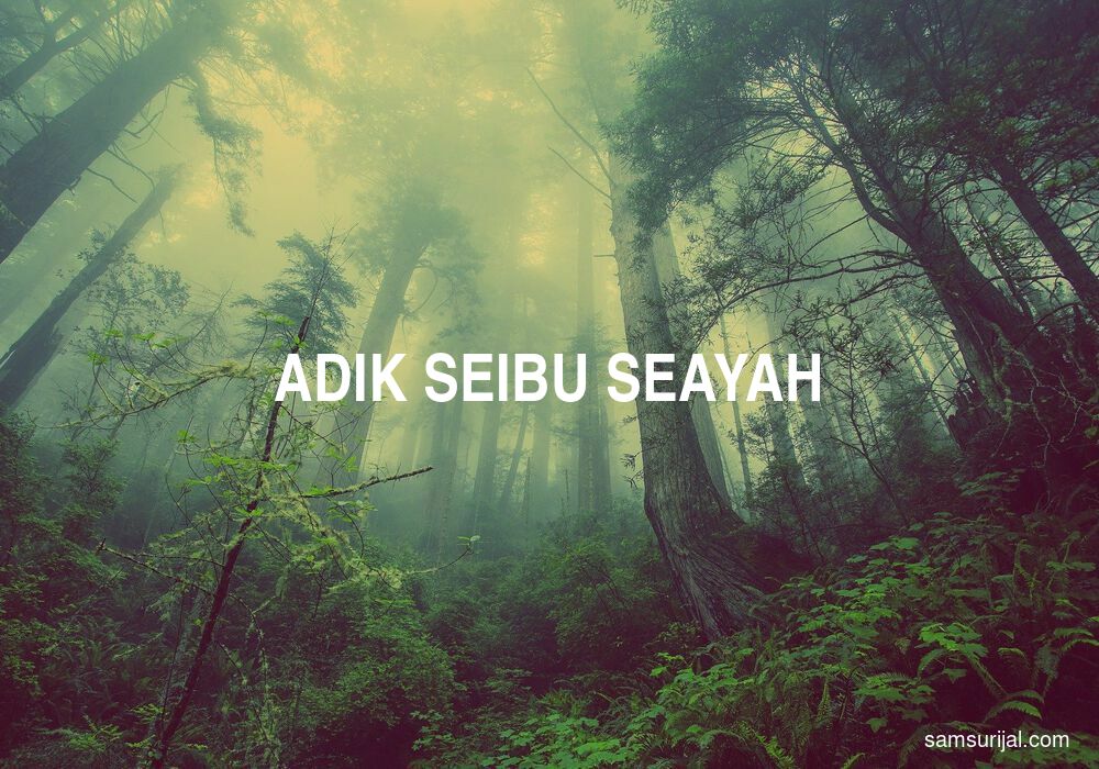 Arti Adik Seibu Seayah