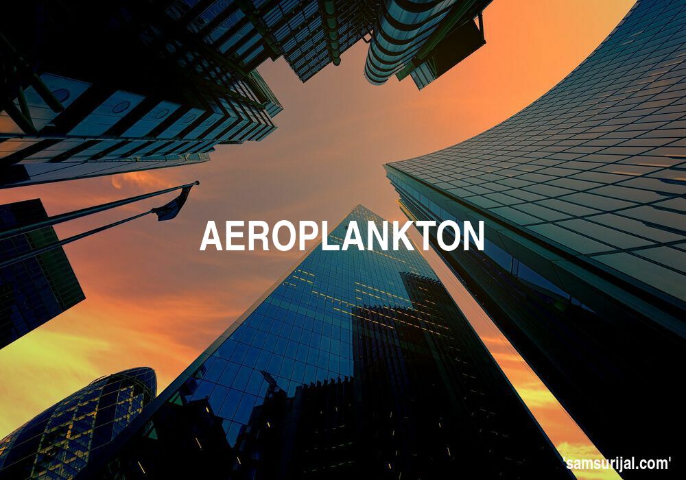 Arti Aeroplankton