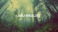 Ahli Mikologi