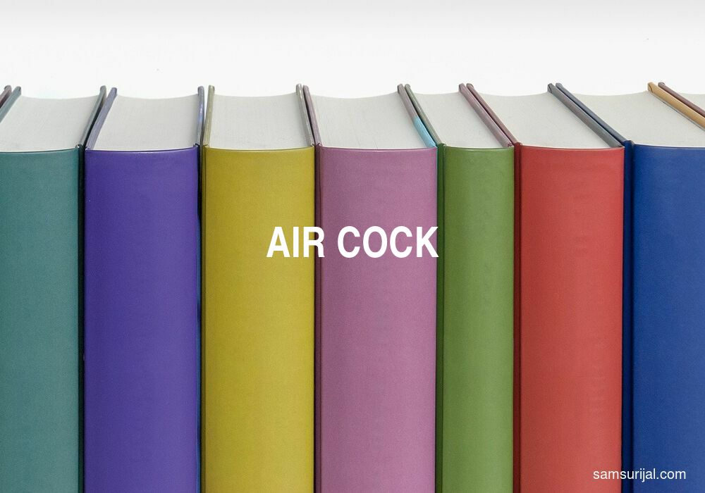 Arti Air Cock