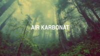 Air Karbonat