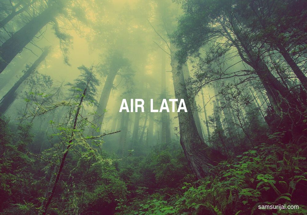 Arti Air Lata