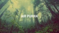 Air Purwa