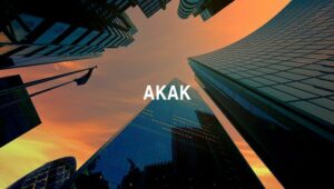 Arti Akak