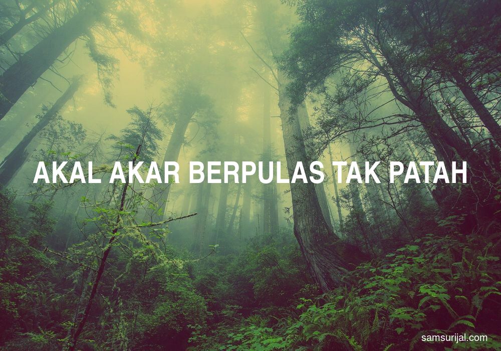 Arti Akal Akar Berpulas Tak Patah