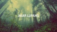 Akar Lupang