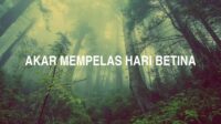 Akar Mempelas Hari Betina