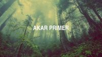 Akar Primer