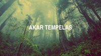 Akar Tempelas