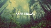 Akar Tinggal