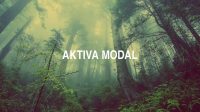 Aktiva Modal