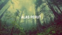 Alas Perut