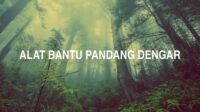 Alat Bantu Pandang Dengar