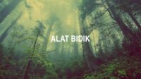 Alat Bidik