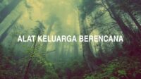 Alat Keluarga Berencana