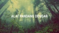 Alat Pandang Dengar