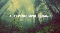 Alat Pengumpul Kerang