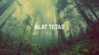 Alat Tetas