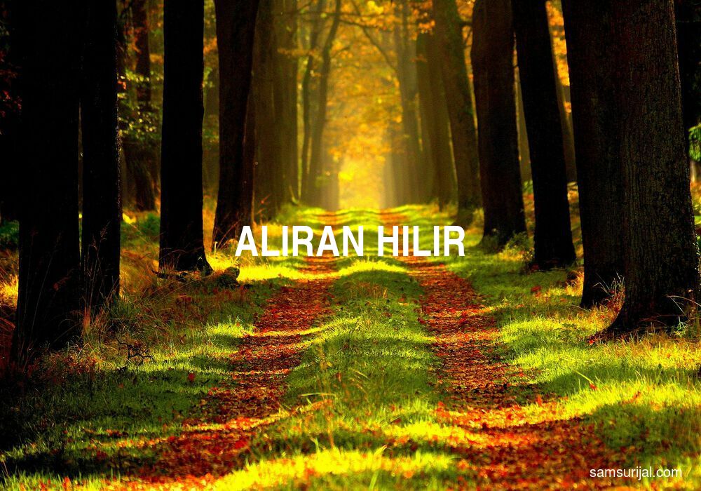 Arti Aliran Hilir