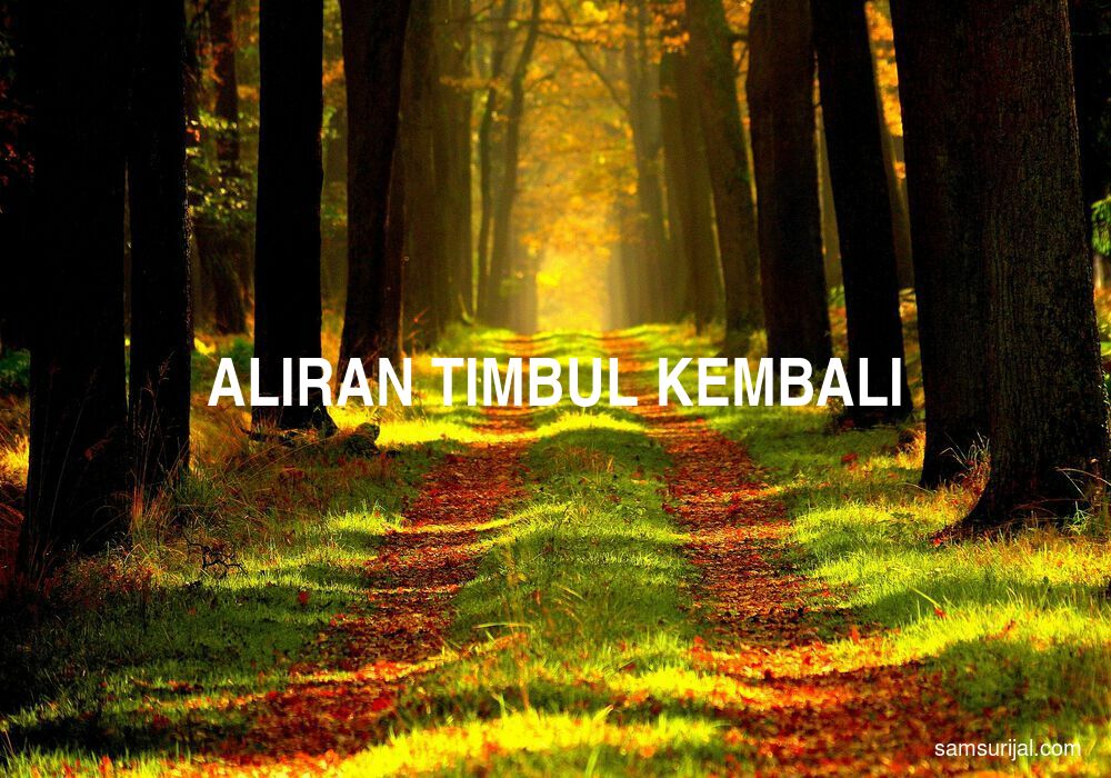 Arti Aliran Timbul Kembali