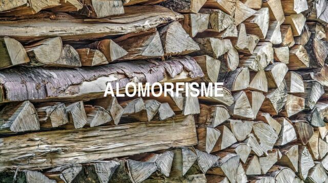 Arti Alomorfisme