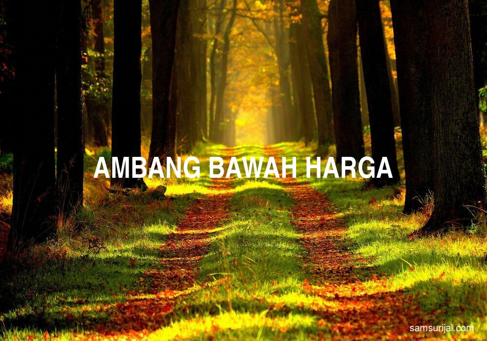 Arti Ambang Bawah Harga