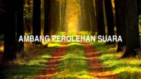 Ambang Perolehan Suara