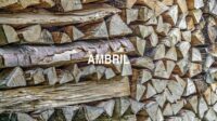 Ambril