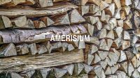 Amerisium