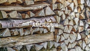 Arti Amerisium