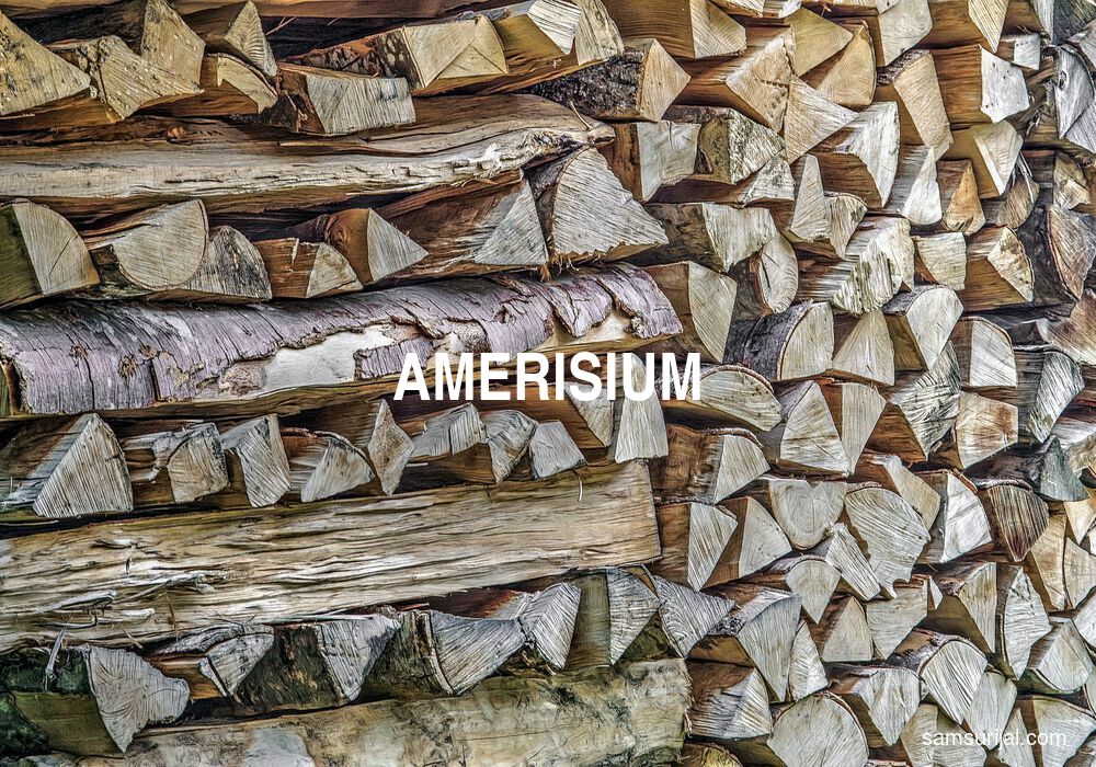 Arti Amerisium