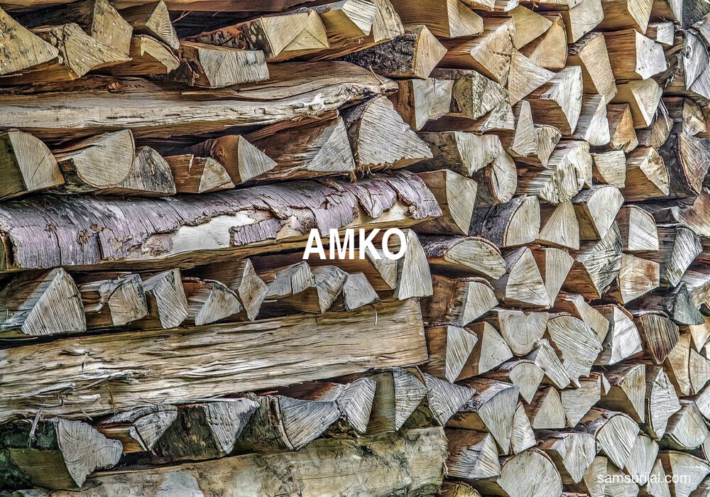 Arti Amko