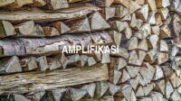 Amplifikasi