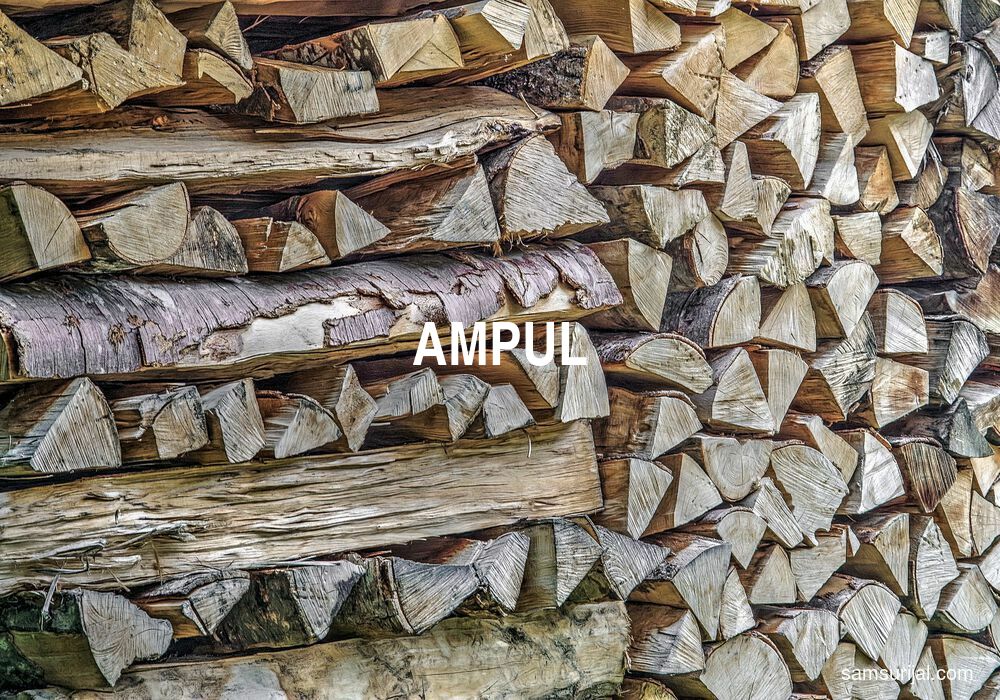 Arti Ampul