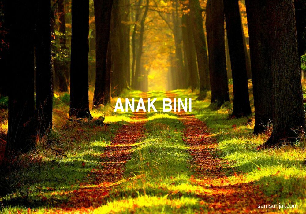 Arti Anak Bini