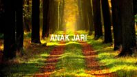 Anak Jari