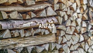 Arti Anfas