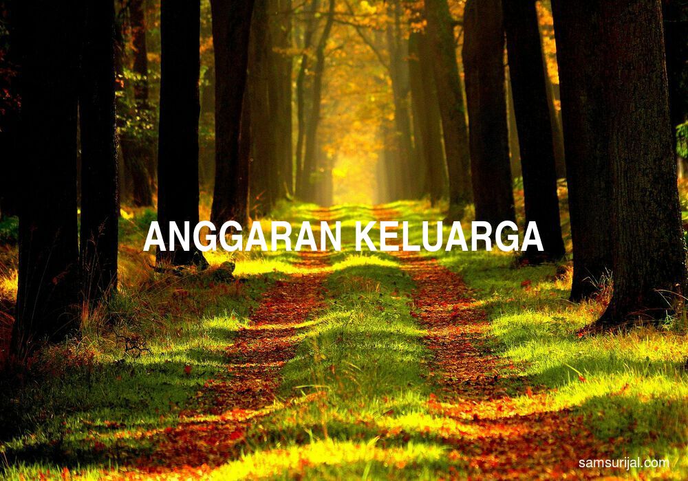 Arti Anggaran Keluarga