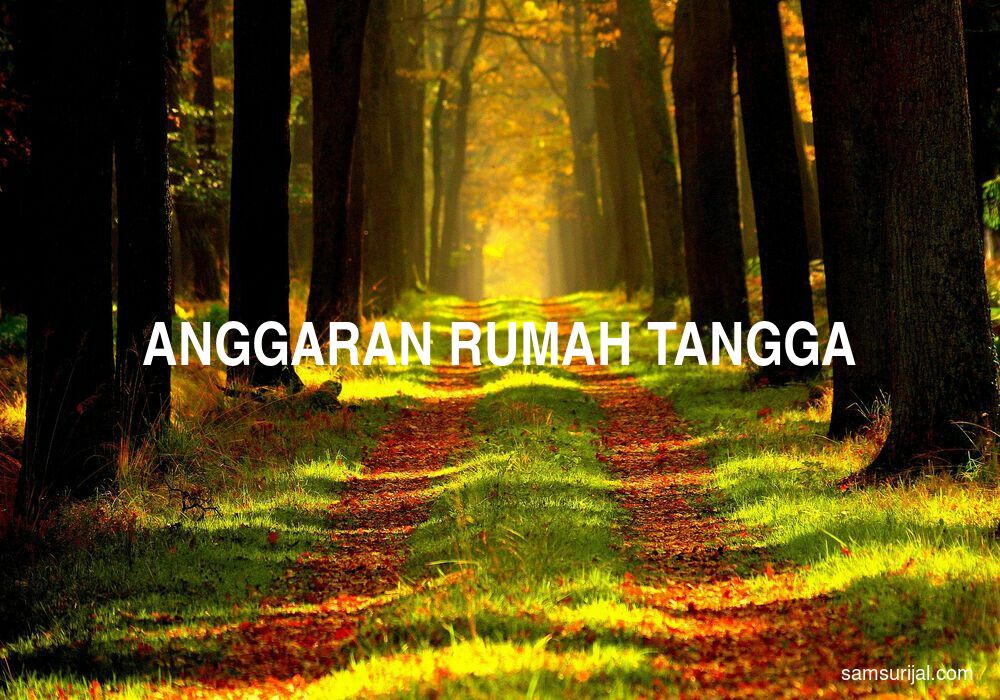 Arti Anggaran Rumah Tangga