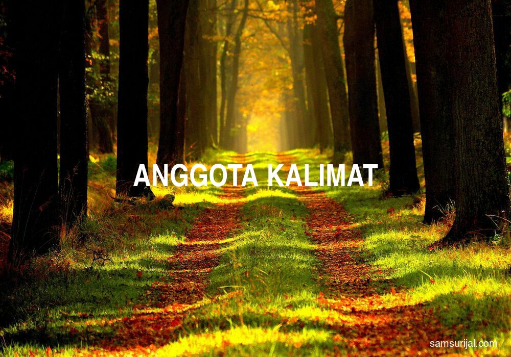 Arti Anggota Kalimat