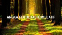 Angka Fertilitas Kumulatif