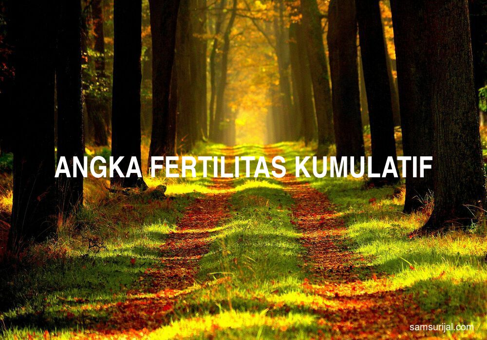 Arti Angka Fertilitas Kumulatif