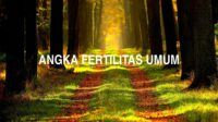 Angka Fertilitas Umum